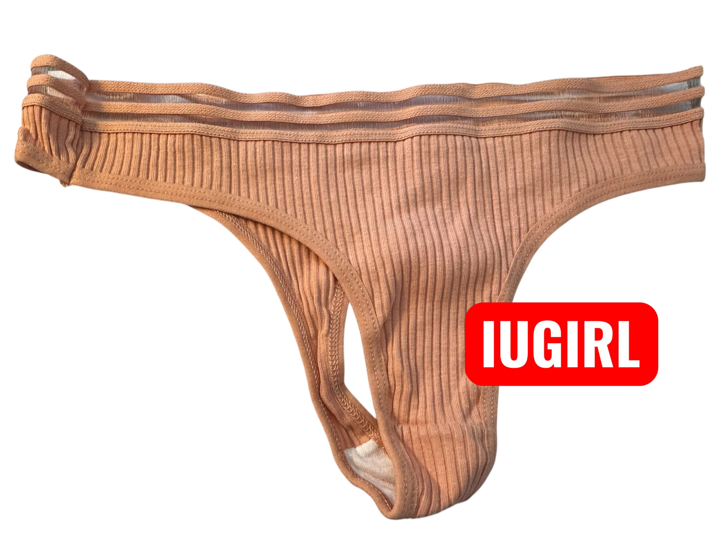 Mutandine Senza Cuciture a Vita Bassa con Pannello Mesh